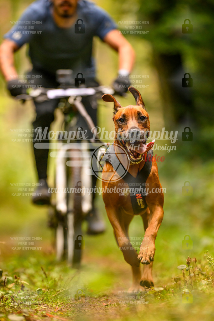 MompixPhotography_Yens2025_B2-129 | PayLife