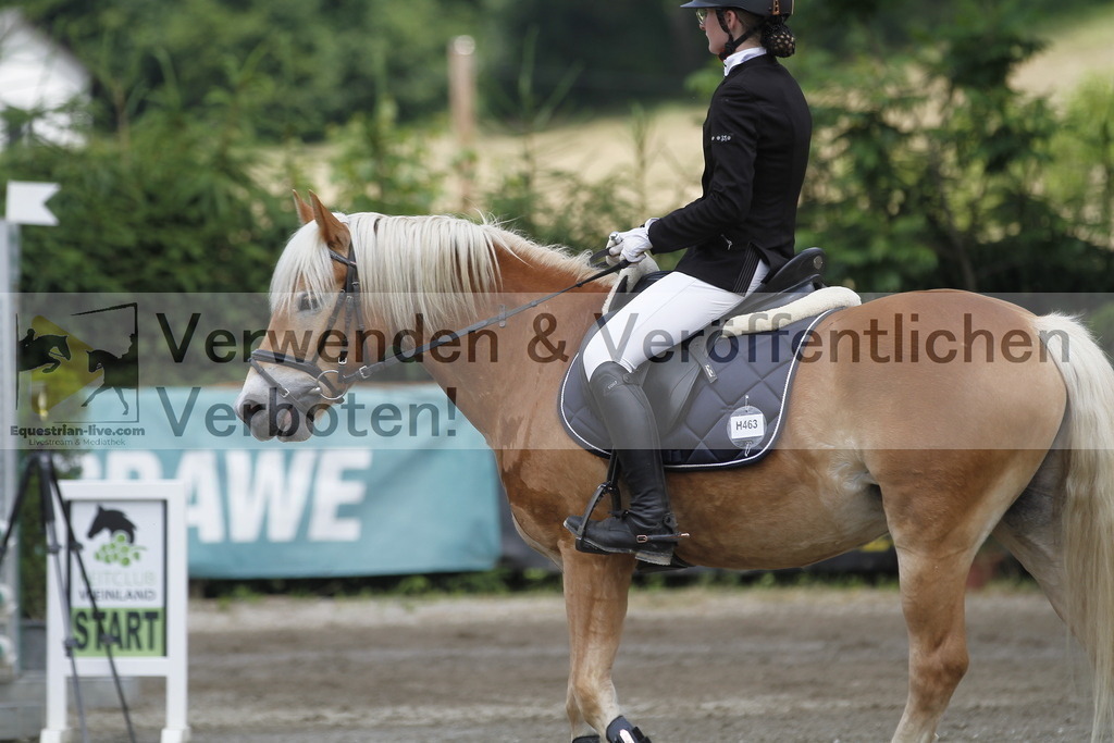 _MG_5104 | equestrian-live-com