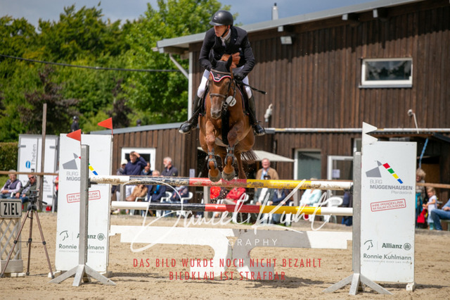 IMG_5671 | Turniersportfotografie; Pferdefotografie; Dressurfotografie