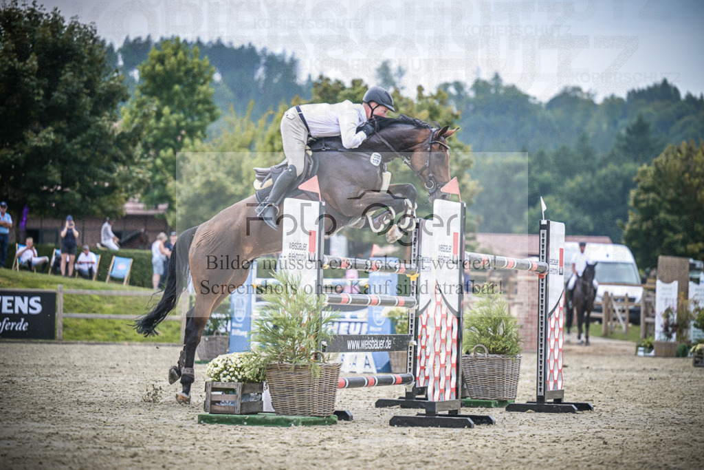 DOS_2638 | Entdecke hochwertige Reitturnierfotos von Foto Oger. Professionell, emotional und authentisch – jetzt Lieblingsmomente im Shop bestellen.Deutschlandweite Turnierfotografie. - Realisiert mit Pictrs.com