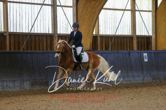 IMG_0361 | Turniersportfotografie; Pferdefotografie; Dressurfotografie