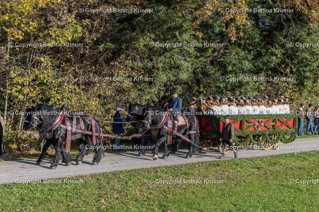 LBT24-387 | foto-bettina-krinner - Realisiert mit Pictrs.com
