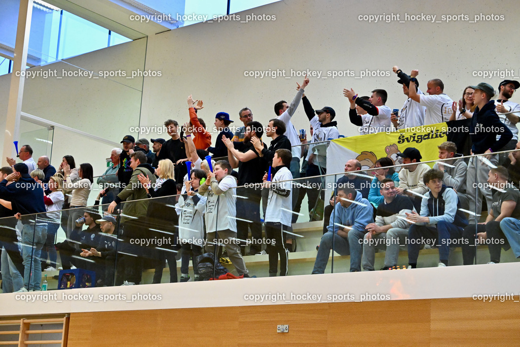 FBK Loka vs. VSV Unihockey | Wiener Floorballverein, plötzlich FBK Loka Fans, FBK Loka vs. VSV Unihockey, FBK Loka vs. VSV Unihockey am 23.03.2025 in Villach (Ballspielhalle St. Martin), Austria, (Photo by Bernd Stefan)