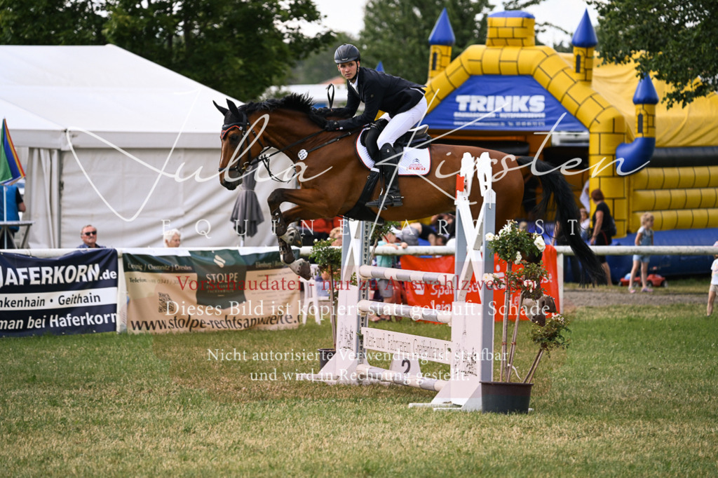 DSC_0992 | Pferde- und Turnierfotografie in Westsachsen. Pferdeportraits, Auftragszeichnungen und intuitive Kunst.