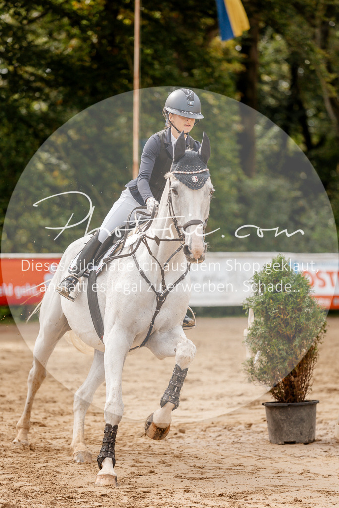 3I6A6755 | Stimmungsvolle Portraits und Reitsportfotografie im Ruhrgebiet und im Münsterland.

Pferdefotografie, Hundefotografie, Tierfotografie, Reportagen, Portraits von Tier und Mensch, Turnierfotografie in Bochum, Recklinghausen, Marl, Haltern am See, Dülmen.. - Realisiert mit Pictrs.com