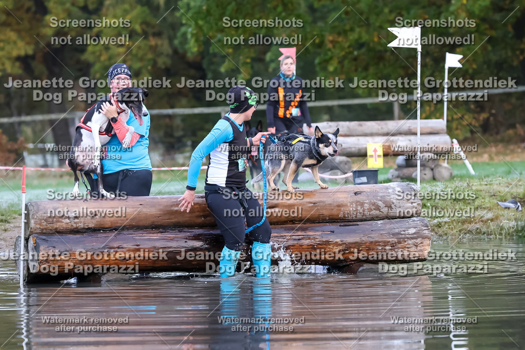 Dog Paparazzi - Strongdog 10-25-6251 | Dog Paparazzi Jeanette Grottendiek Fotografie & Videografie - Realisiert mit Pictrs.com