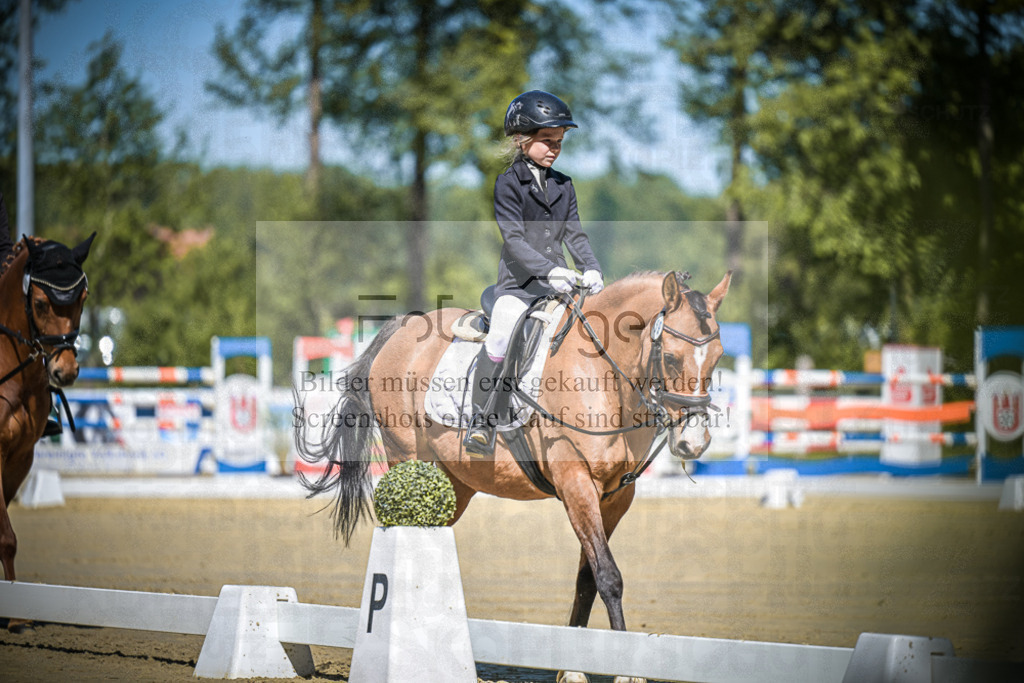 DOS_7571 | Entdecke hochwertige Reitturnierfotos von Foto Oger. Professionell, emotional und authentisch – jetzt Lieblingsmomente im Shop bestellen.Deutschlandweite Turnierfotografie. - Realisiert mit Pictrs.com