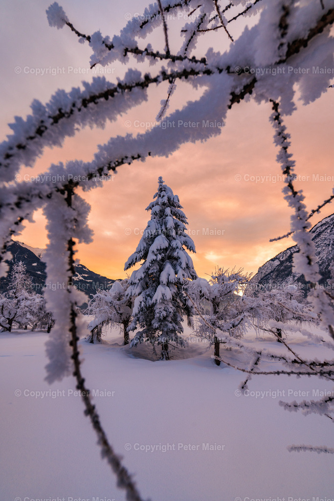 Talboden_Lienz-21 | piet_flosse