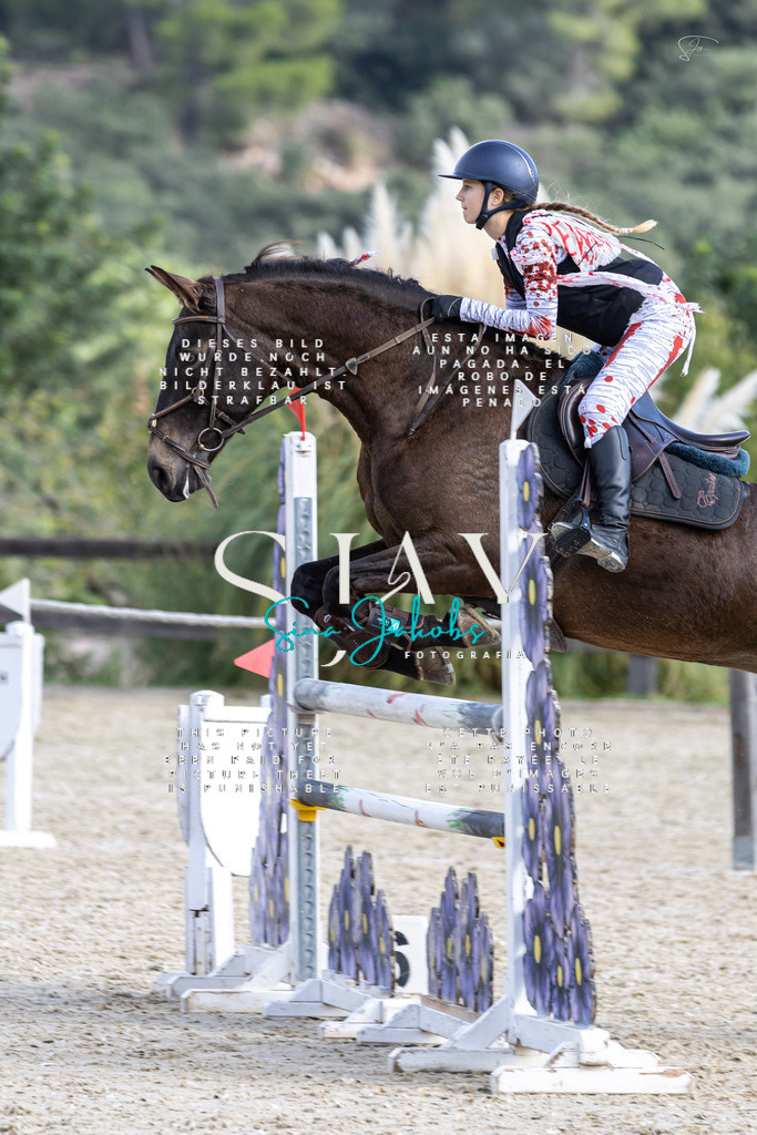 IMG_3501 | s-jay-photography - Realisiert mit Pictrs.com