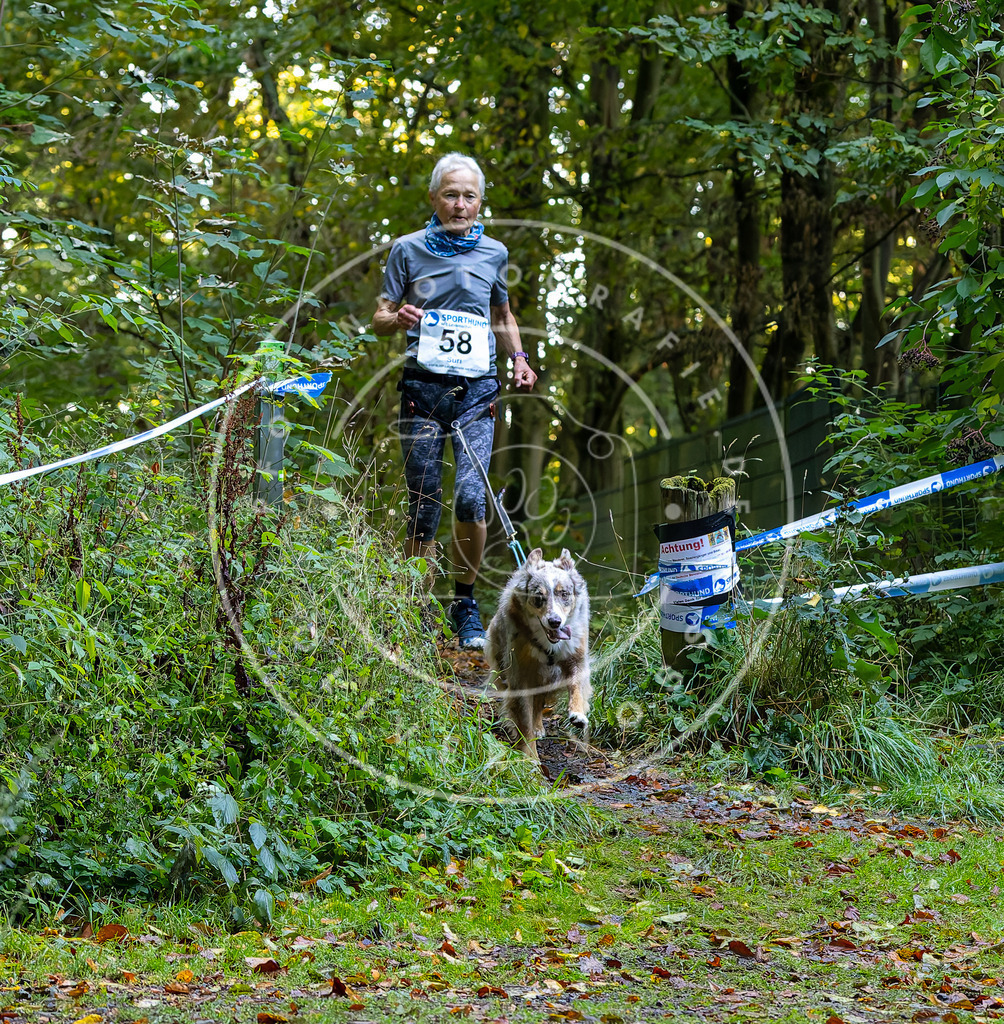 Pfotenfotografie_DV3A7139 | Hundefotografie, Tierfotograf, Pfotenfotografie, Fotoshooting Hund, Hunde Portrait, Hundesport, Hundeportraits, Heideshooting, Hunde, Sportfotograf, Hundefotograf, Turnierhundsport, THS,  - Realisiert mit Pictrs.com