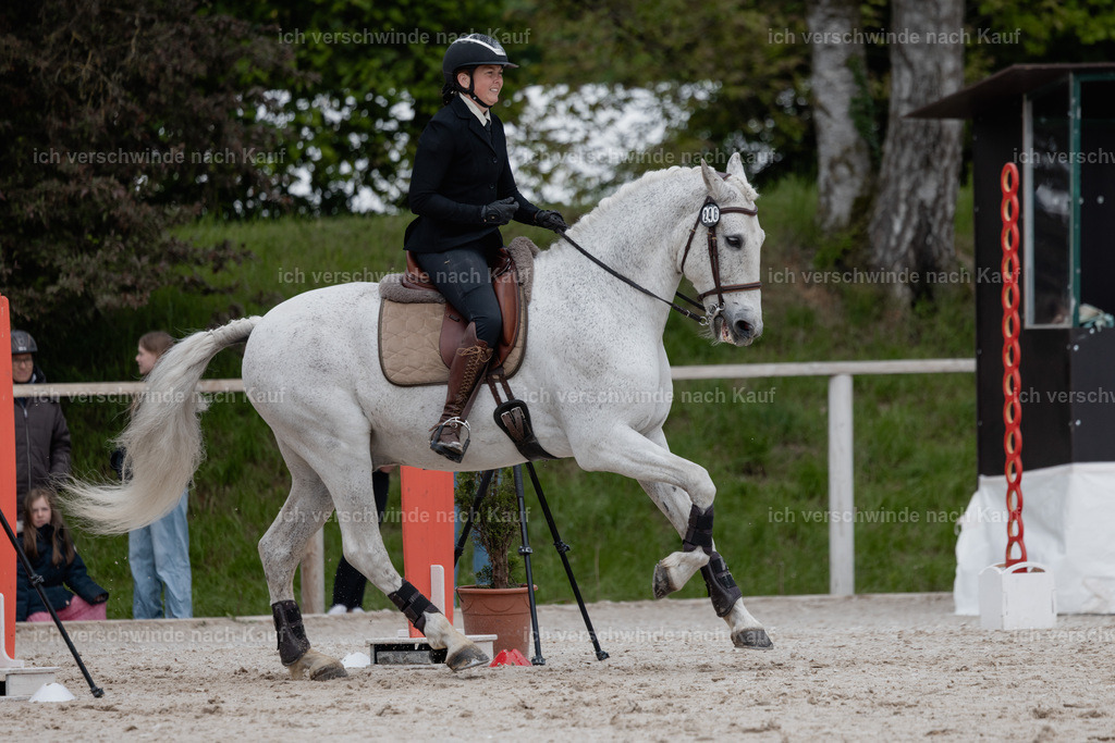PI26_SP_StoibphotographyC2_C0025.jpg | working equitationturnier fotograf videograf stoibphotography marixx film working equitation deutschland reitsport turnierfotografie eventfotografie equestrian events