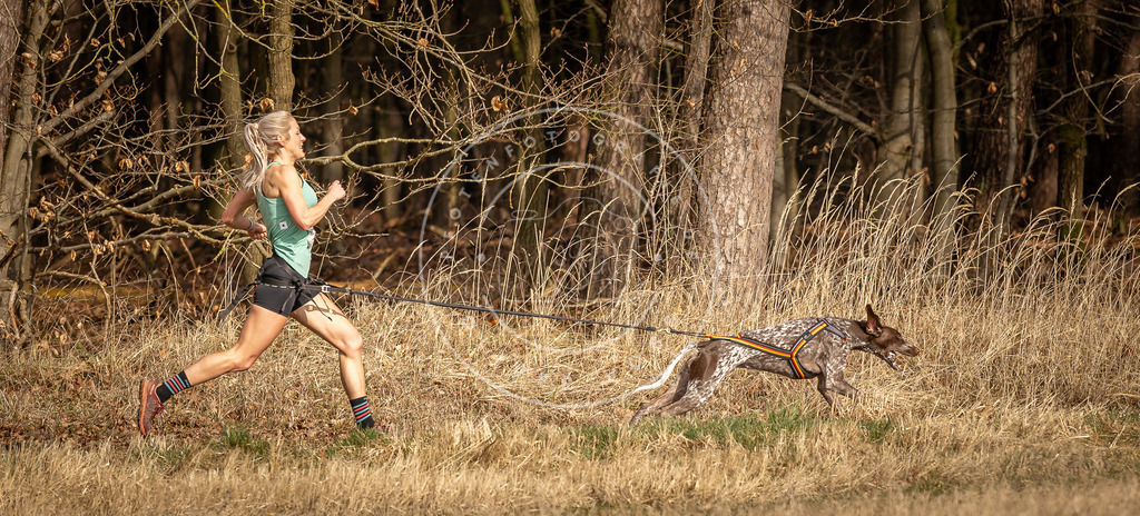 DV3A3680 | Hundefotografie, Tierfotograf, Pfotenfotografie, Fotoshooting Hund, Hunde Portrait, Hundesport, Hundeportraits, Heideshooting, Hunde, Sportfotograf, Hundefotograf, Turnierhundsport, THS,  - Realisiert mit Pictrs.com