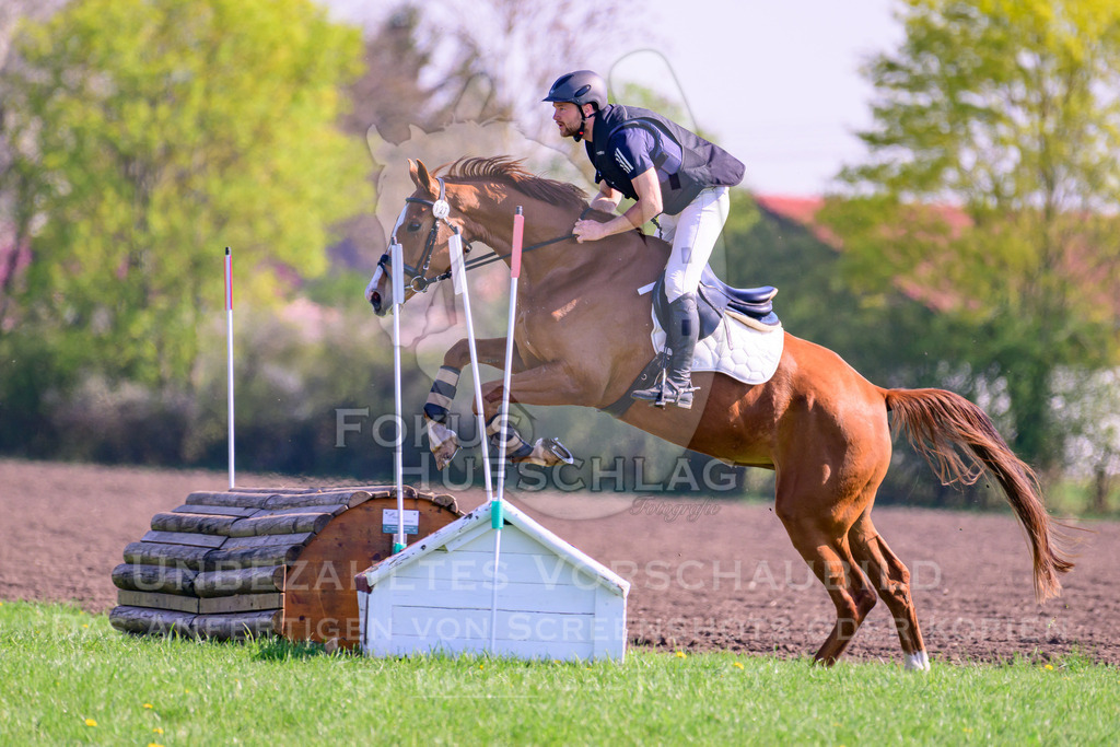 18042026-Gernlinden-03-0561 | Fokus Hufschlag Fotografie - Realisiert mit Pictrs.com