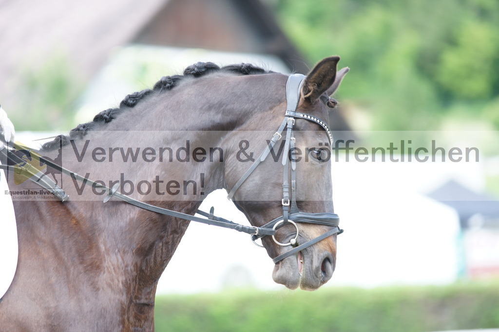 DSC05341 | equestrian-live-com
