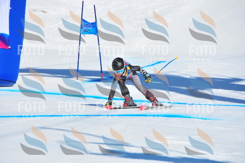 DSC_3902 | holidayphoto