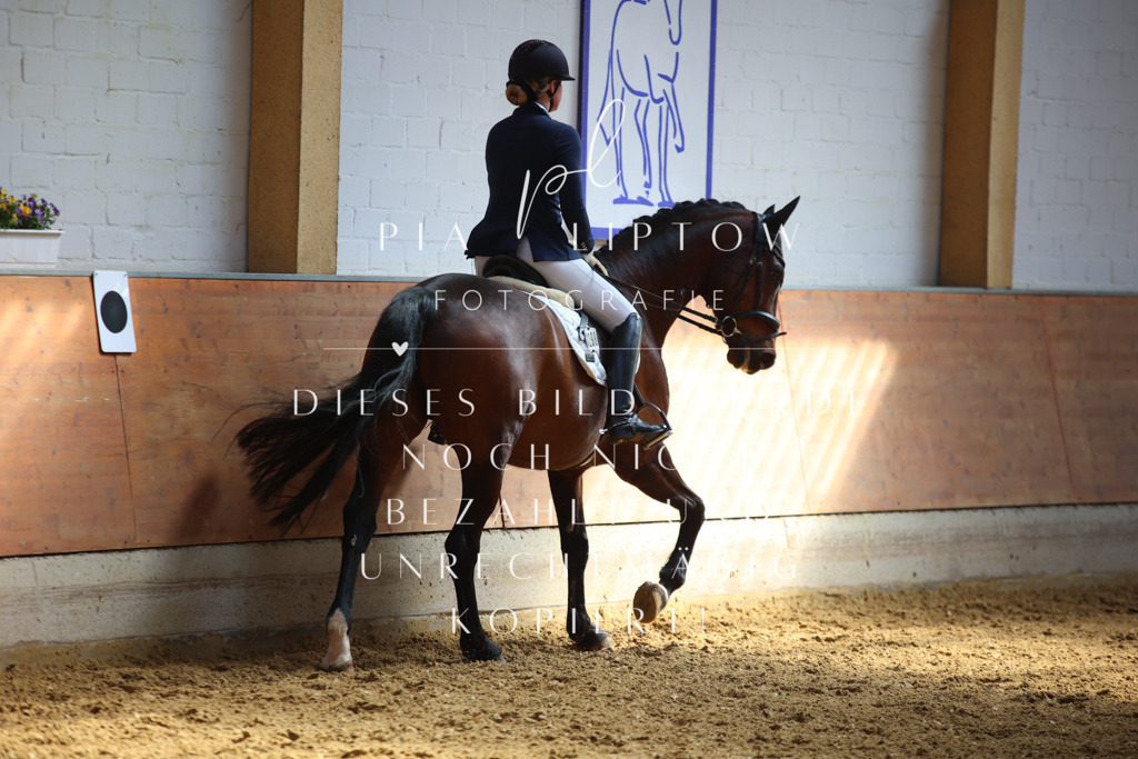 IMGT7183 | pl-fotografie