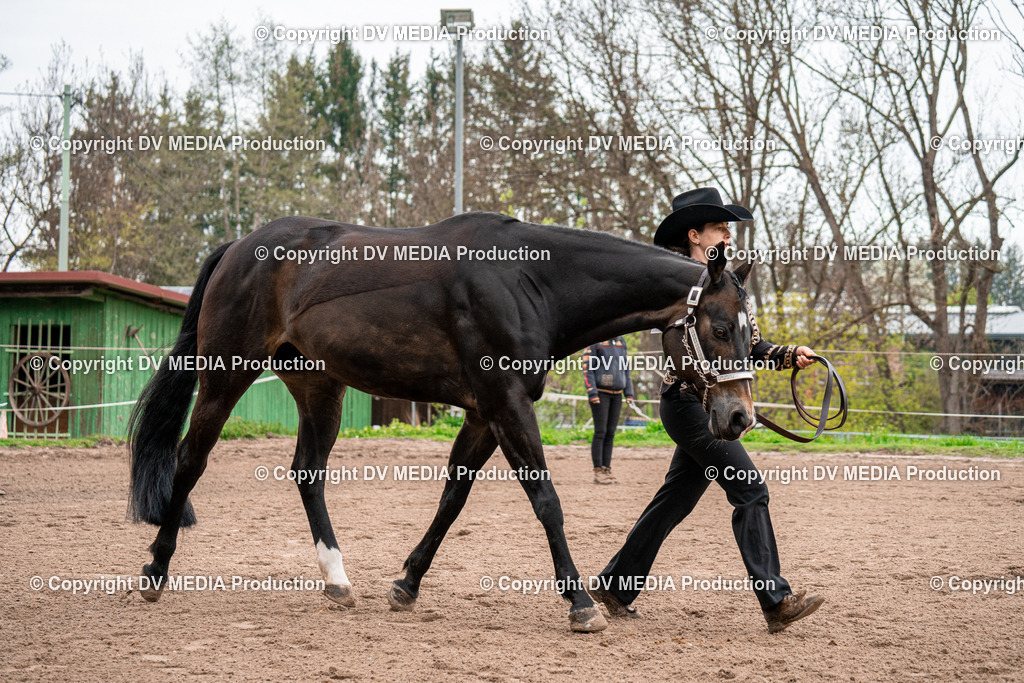 BA300126 | dv-media-shop - Realisiert mit Pictrs.com