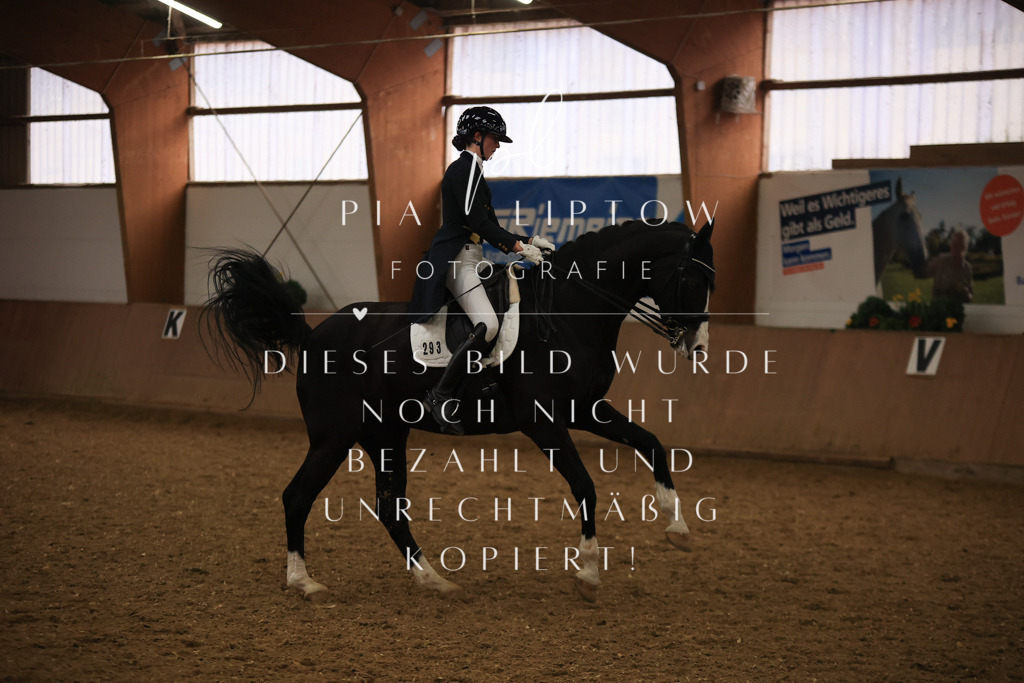 IMGT5987 | pl-fotografie