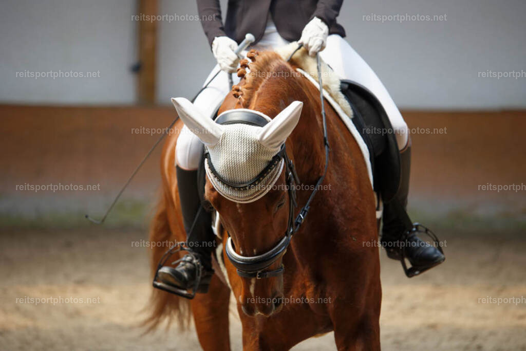 JHE_8215 | JoYa Fotografie - Realisiert mit Pictrs.com