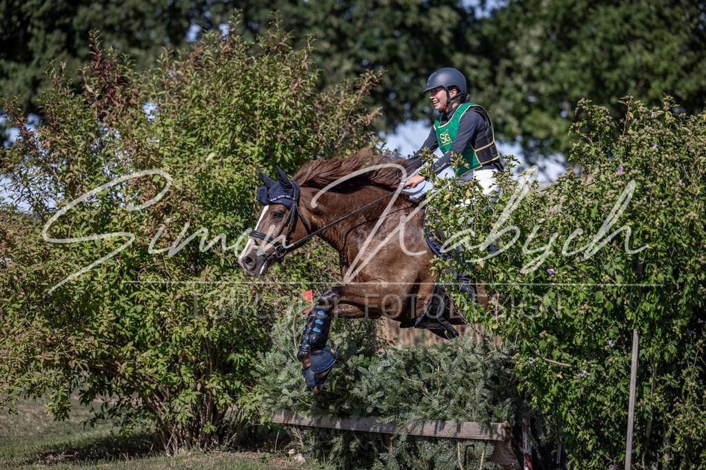 20260906-_3LI5517 | Tierfotografie Pferde, Hunde, Katzen, Haustiere.
Turnierfotografie Reitturniere, Reiten, Springreiten, Dressur in Hanau, dem Main-Kinzig-Kreis und dem Rhein-Main- Gebiet um Frankfurt