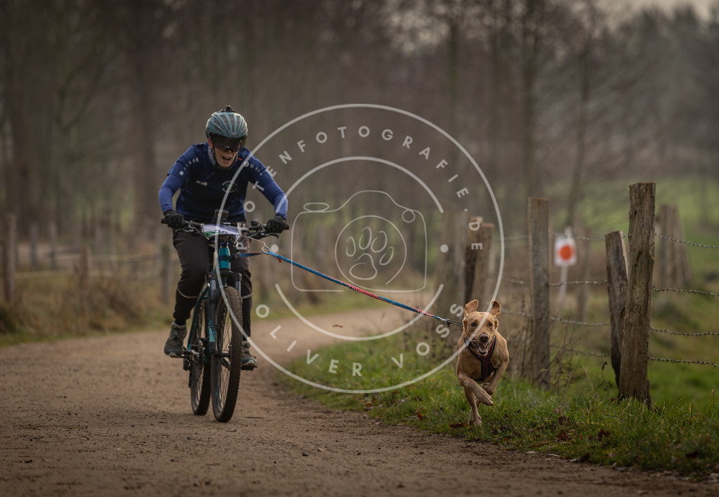 Pfotenfotografie_DV3A1961 | Hundefotografie, Tierfotograf, Pfotenfotografie, Fotoshooting Hund, Hunde Portrait, Hundesport, Hundeportraits, Heideshooting, Hunde, Sportfotograf, Hundefotograf, Turnierhundsport, THS,  - Realisiert mit Pictrs.com