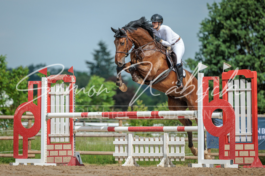 20260530-_3LI2645 | Tierfotografie Pferde, Hunde, Katzen, Haustiere.
Turnierfotografie Reitturniere, Reiten, Springreiten, Dressur in Hanau, dem Main-Kinzig-Kreis und dem Rhein-Main- Gebiet um Frankfurt
