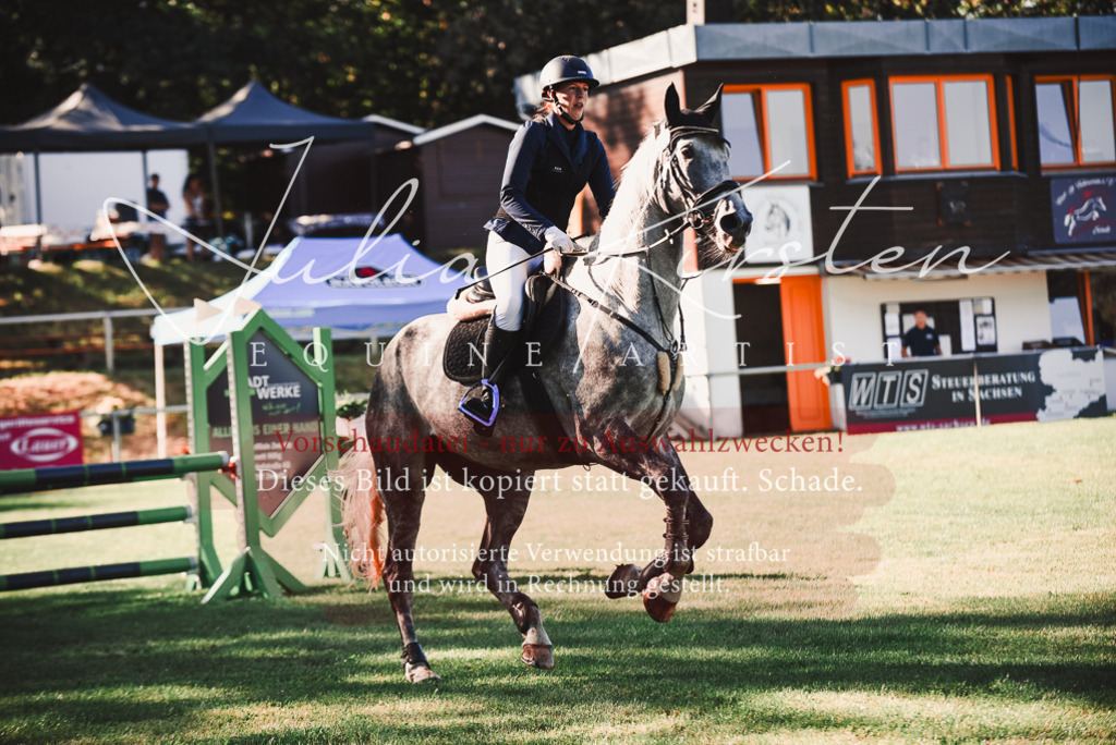 DSC_2158 | Pferde- und Turnierfotografie in Westsachsen. Pferdeportraits, Auftragszeichnungen und intuitive Kunst.