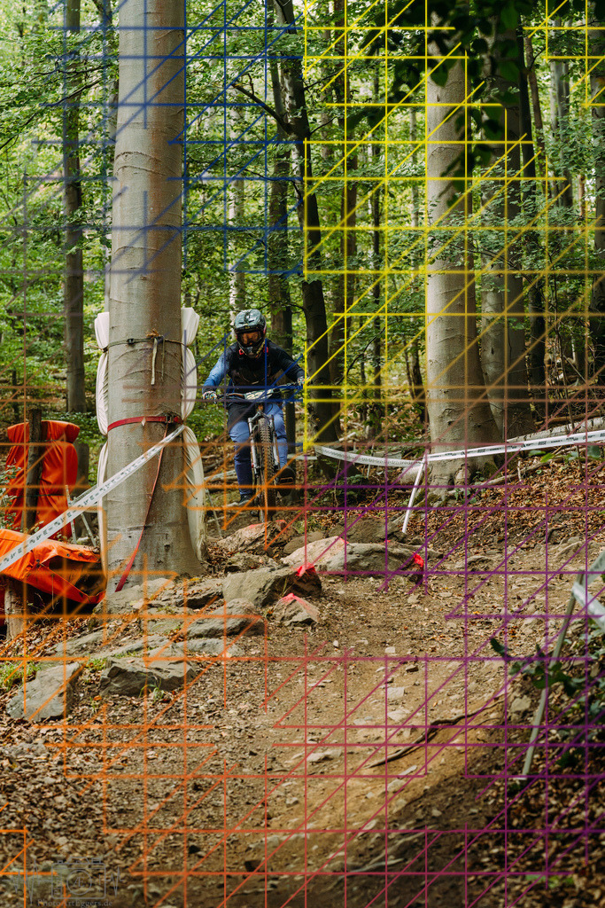PAE-2128 | Einzigartige Fotokunst für dein Zuhause: Entdecke hochwertige Wandbilder, edle Prints und emotionale Motive von Wildlife, Natur und Landschaften - Realisiert mit Pictrs.com