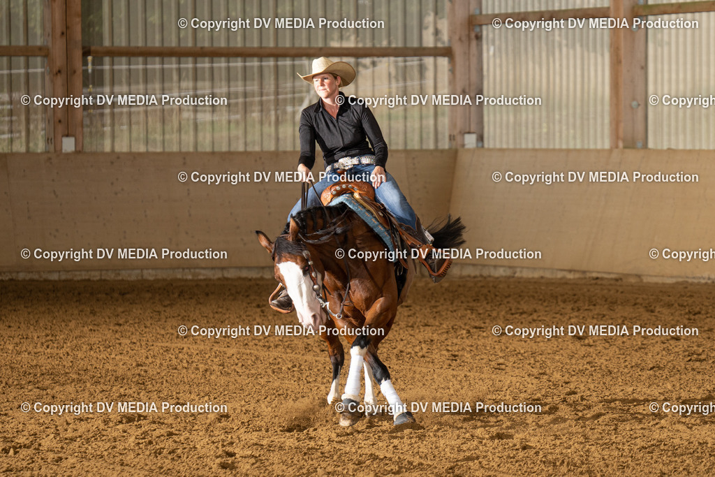 LAU01352 | dv-media-shop - Realisiert mit Pictrs.com