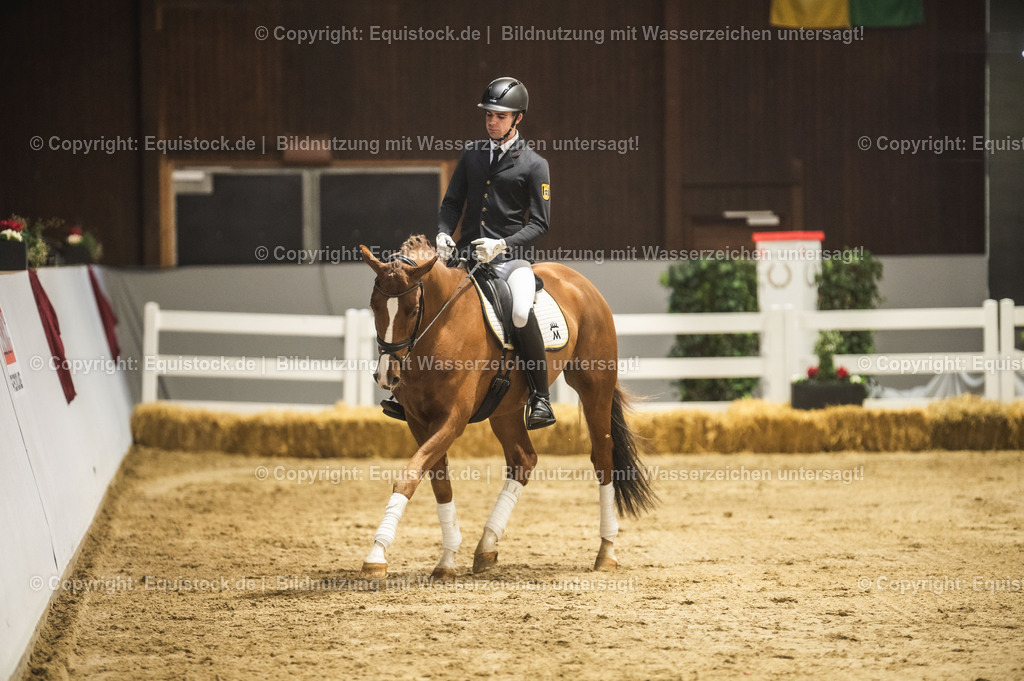 20240302_Hengstvorstellung_Marbach_TOMsPiC_0358 | equistock