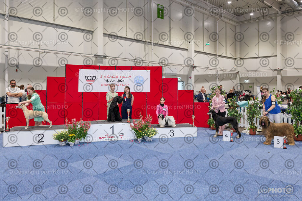 202406_ÖKV-IHA-Tulln24_NZ9_9421 | proPHOTO - Realisiert mit Pictrs.com