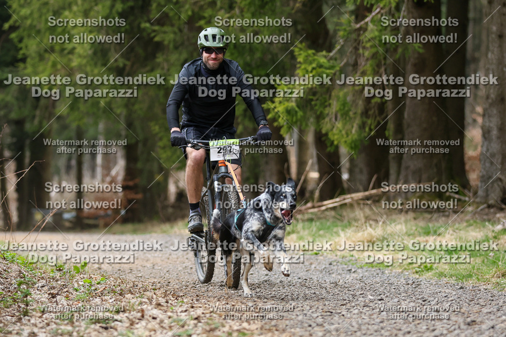 Dog Paparazzi - VCC26-545 | Dog Paparazzi Jeanette Grottendiek Fotografie & Videografie - Realisiert mit Pictrs.com