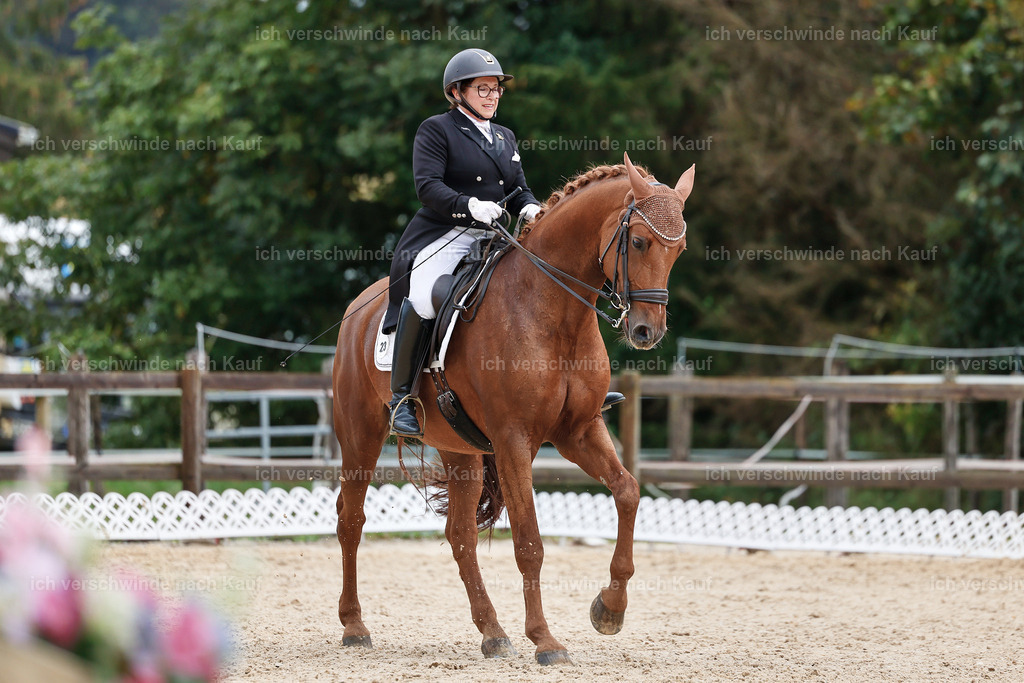 07-023-DRESSUR  S___  -StoibPH-5038 | working equitationturnier fotograf videograf stoibphotography marixx film working equitation deutschland reitsport turnierfotografie eventfotografie equestrian events