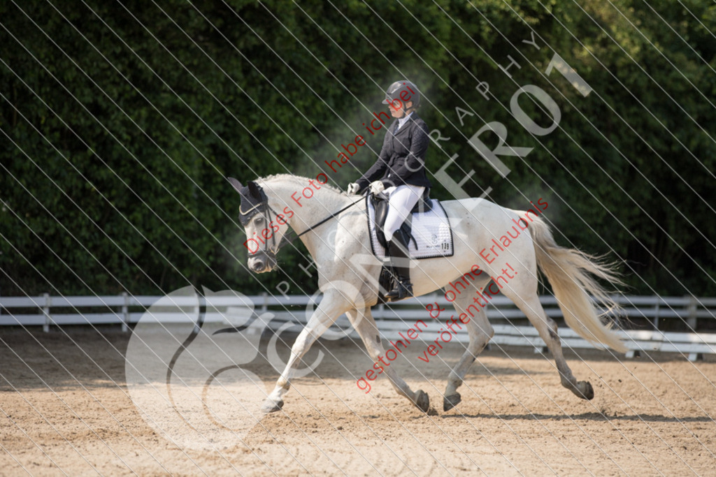 IMG_2870 | Sport-, Event- und Tierfotos in Profiqualität. Einfach auswählen, bestellen und herunterladen. Dein Moment – perfekt festgehalten.