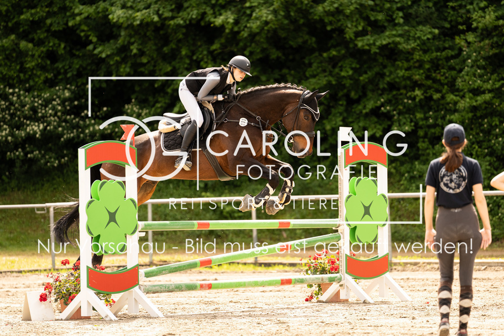 DSC02398 | Carolin Gieschke