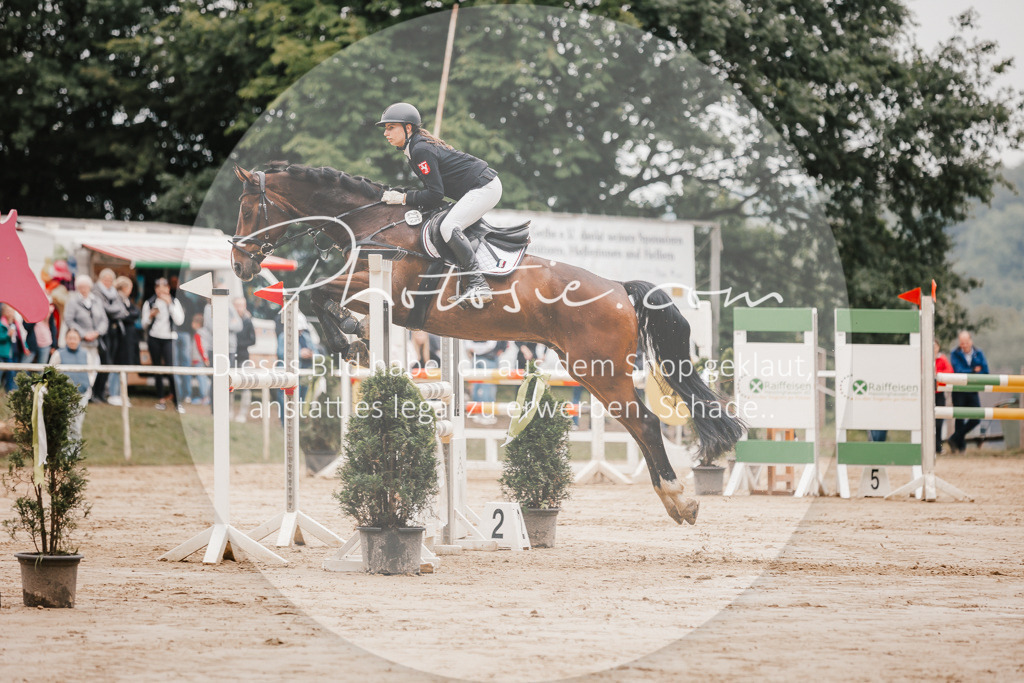 3I6A2130 | Stimmungsvolle Portraits und Reitsportfotografie im Ruhrgebiet und im Münsterland.

Pferdefotografie, Hundefotografie, Tierfotografie, Reportagen, Portraits von Tier und Mensch, Turnierfotografie in Bochum, Recklinghausen, Marl, Haltern am See, Dülmen.. - Realisiert mit Pictrs.com