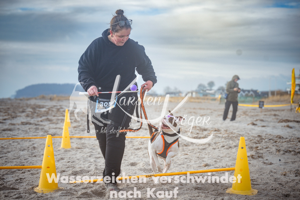 1118_ZZ97763 | kk-dogfotos