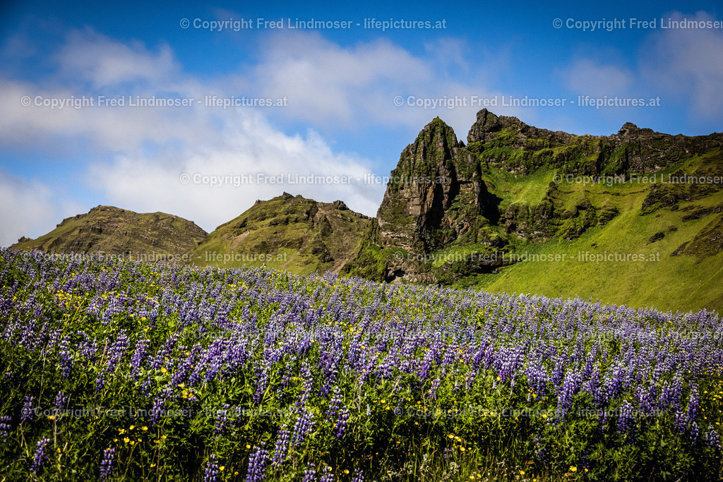 Island Juni 2022-0316 | Fotos und Fotoprodukte - Realisiert mit Pictrs.com