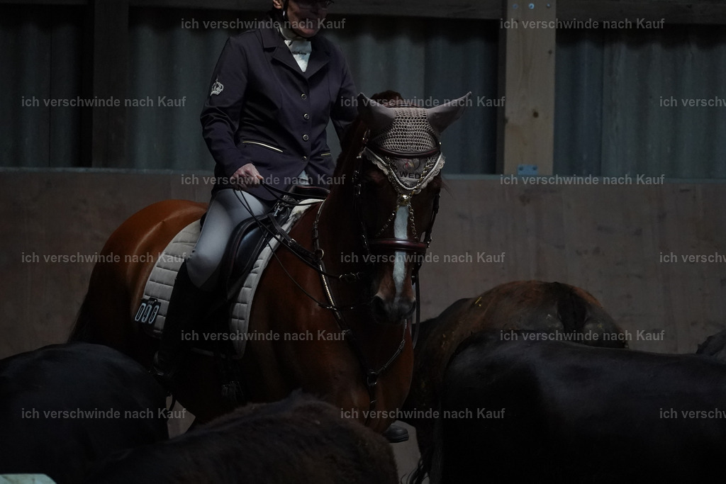 KlasseM_Lucie662 | working equitationturnier fotograf videograf stoibphotography marixx film working equitation deutschland reitsport turnierfotografie eventfotografie equestrian events