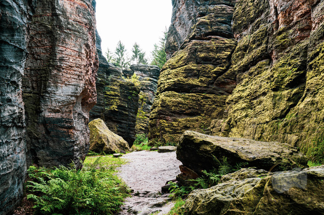 DSC_2963-10 | Shop für Prints Landschaftsfotografie Sächsische Schweiz Naturfotografie in Thüringen Fotos vom Findlingspark Nochten Kloster Sankt Marienstern Bilder Festung Königstein PanoramaRhododendronpark Kromlau FotogalerSchleswig-Holstein Küstenlandschaften