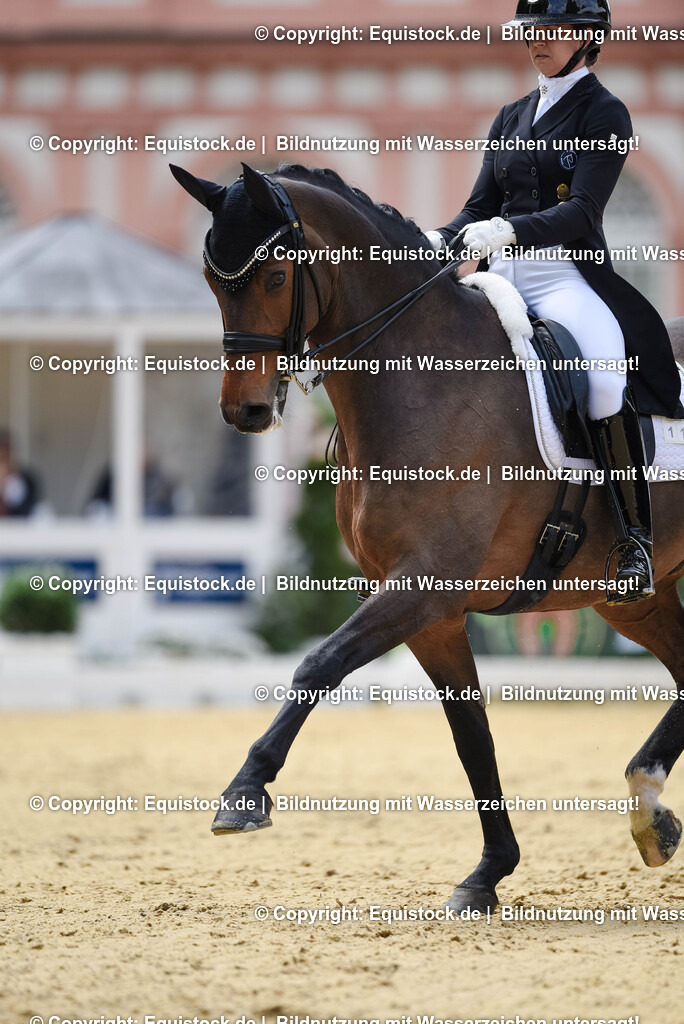 20250607_1_GP-Tour_Dressage_0130 | Foto: Thomas Hartig