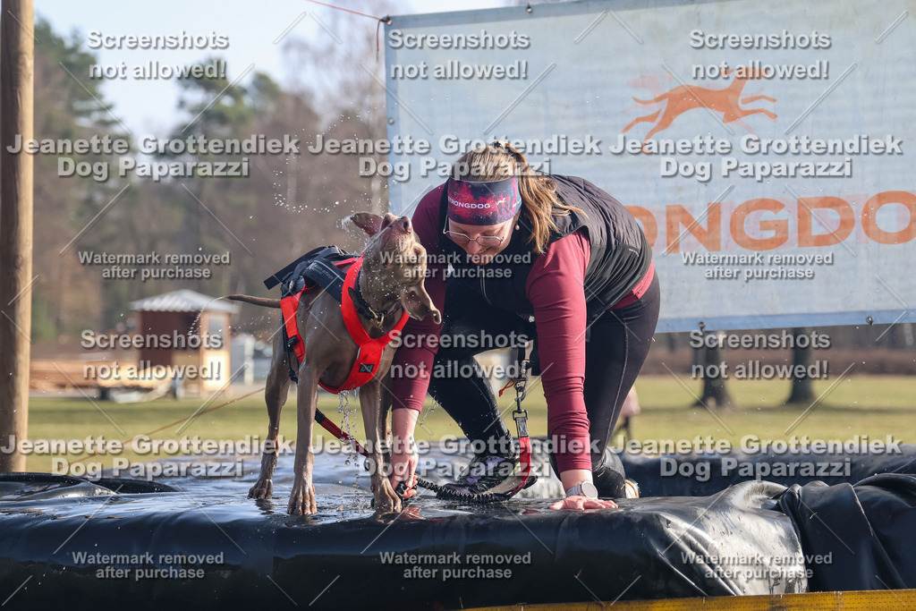 Dog Paparazzi - Strongdog North Mrz26-773 | Dog Paparazzi Jeanette Grottendiek Fotografie & Videografie - Realisiert mit Pictrs.com