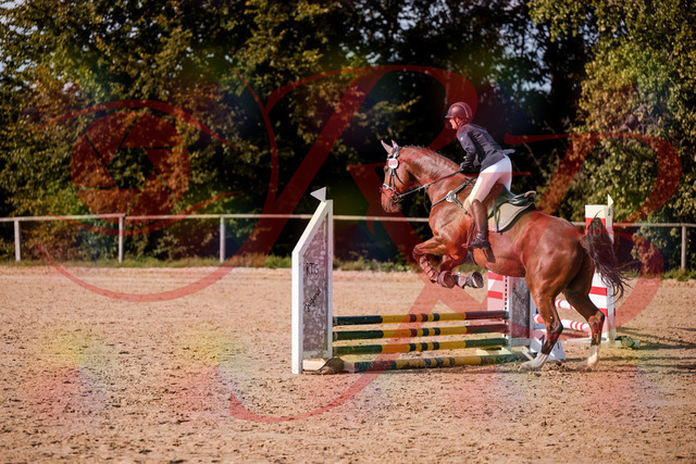 2026_10_03_Siefer-Hof_155525_Z81_74641530 | Professionelle Reitsport-, Turnier- und Eventfotografie von Robert Broda. Galerien mit ausgewählten und bearbeiteten Bildern direkt online ansehen und bestellen.