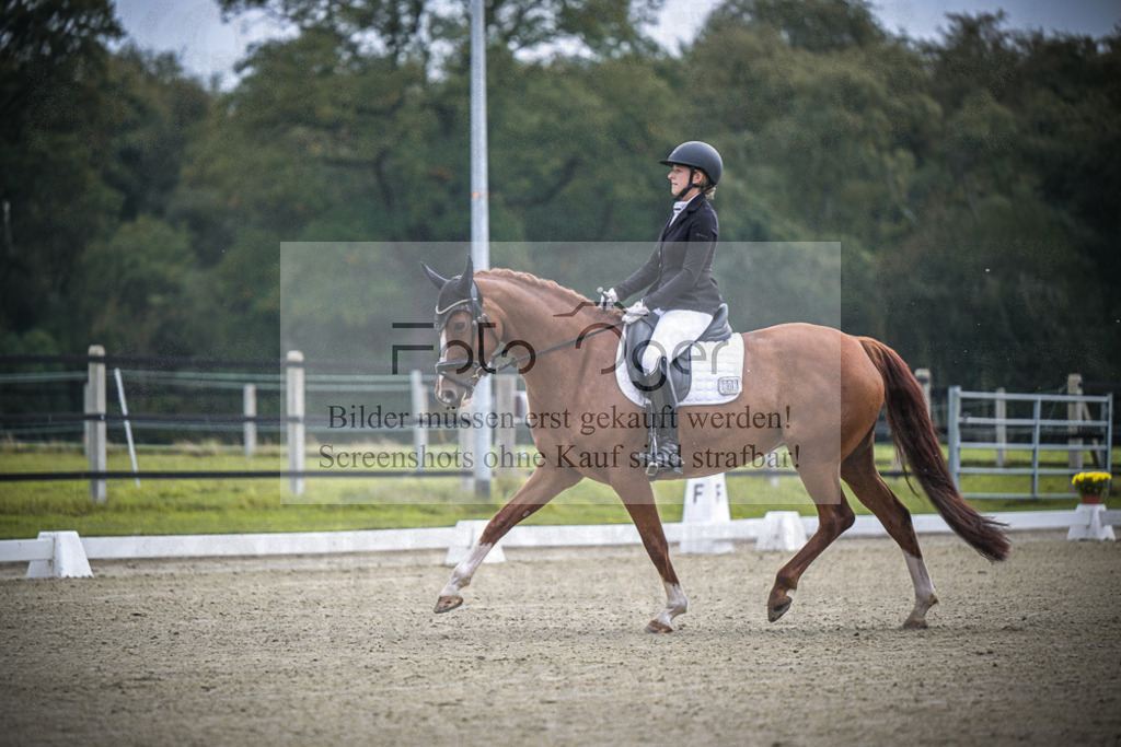 DOS_B381 | Entdecke hochwertige Reitturnierfotos von Foto Oger. Professionell, emotional und authentisch – jetzt Lieblingsmomente im Shop bestellen.Deutschlandweite Turnierfotografie. - Realisiert mit Pictrs.com