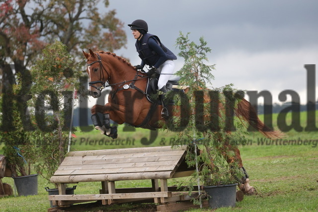 Altensteig_2024_Prfg.Nr.02_Geländepferdeprfg.Kl.A_Nicole Kühnapfel_Spotify 10 (3) | Alle Fotos der Reiterjournal Fotografin Doris Matthaes im Reiterjournal Online-Fotoshop. - Realisiert mit Pictrs.com