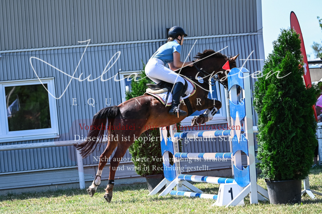 DSC_0936 | Pferde- und Turnierfotografie in Westsachsen. Pferdeportraits, Auftragszeichnungen und intuitive Kunst.