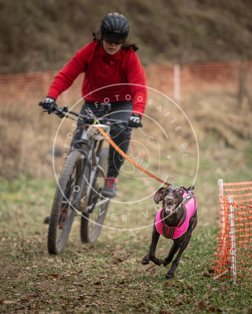 Pfotenfotografie_DV3A5115 | Hundefotografie, Tierfotograf, Pfotenfotografie, Fotoshooting Hund, Hunde Portrait, Hundesport, Hundeportraits, Heideshooting, Hunde, Sportfotograf, Hundefotograf, Turnierhundsport, THS,  - Realisiert mit Pictrs.com