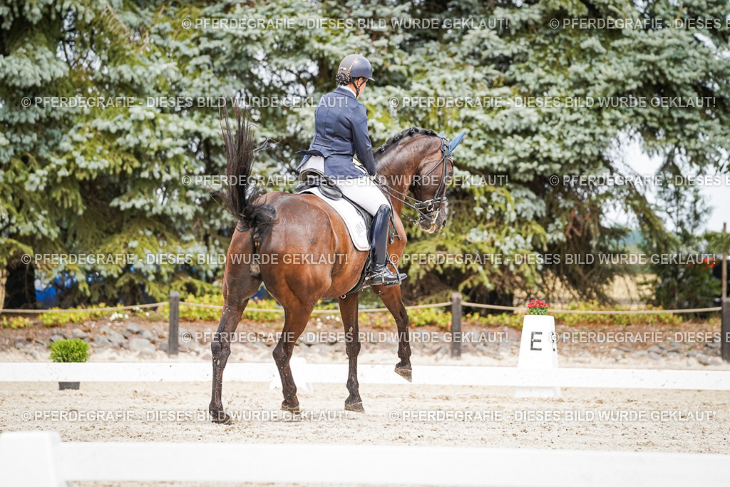 DSC05446 | Pferdegrafie