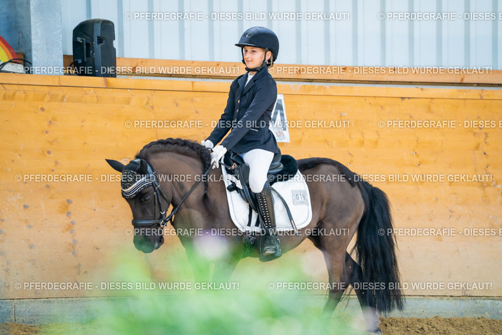 DSC09033 | Pferdegrafie