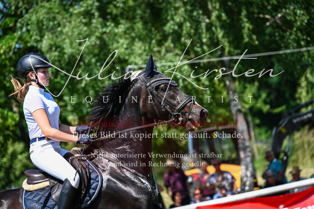DSC_1013 | Pferde- und Turnierfotografie in Westsachsen. Pferdeportraits, Auftragszeichnungen und intuitive Kunst.